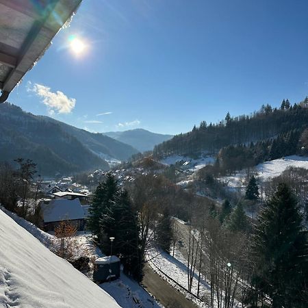 Bollenlodge - Ferienwohnung Mit Ausblick Und Top Lage 토트나우 외부 사진