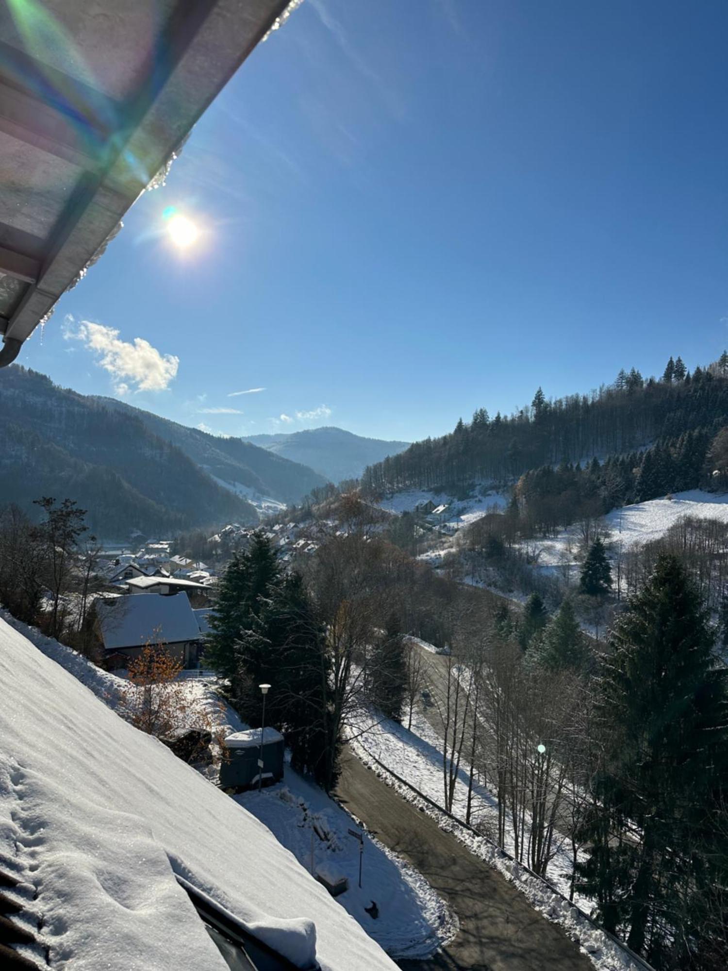 Bollenlodge - Ferienwohnung Mit Ausblick Und Top Lage 토트나우 외부 사진